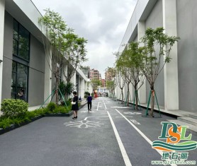回訪4年前做的透水混凝土路面~表面還是很棒的