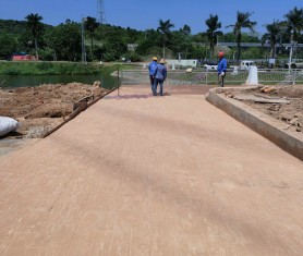 廣州增城風行牛奶藝術壓花地坪路面升級改造